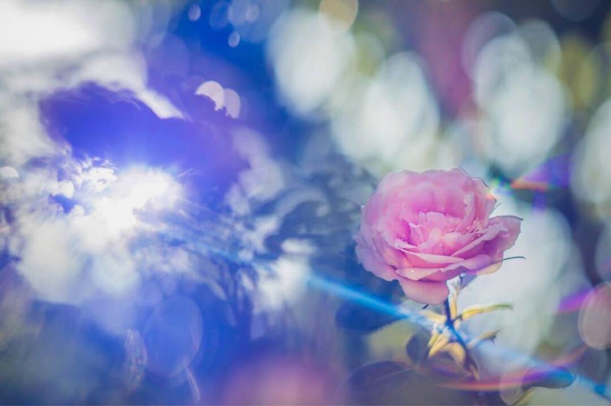 Anamorphic flare Helios 44-2 58mm F2 CANON EFマウント | www