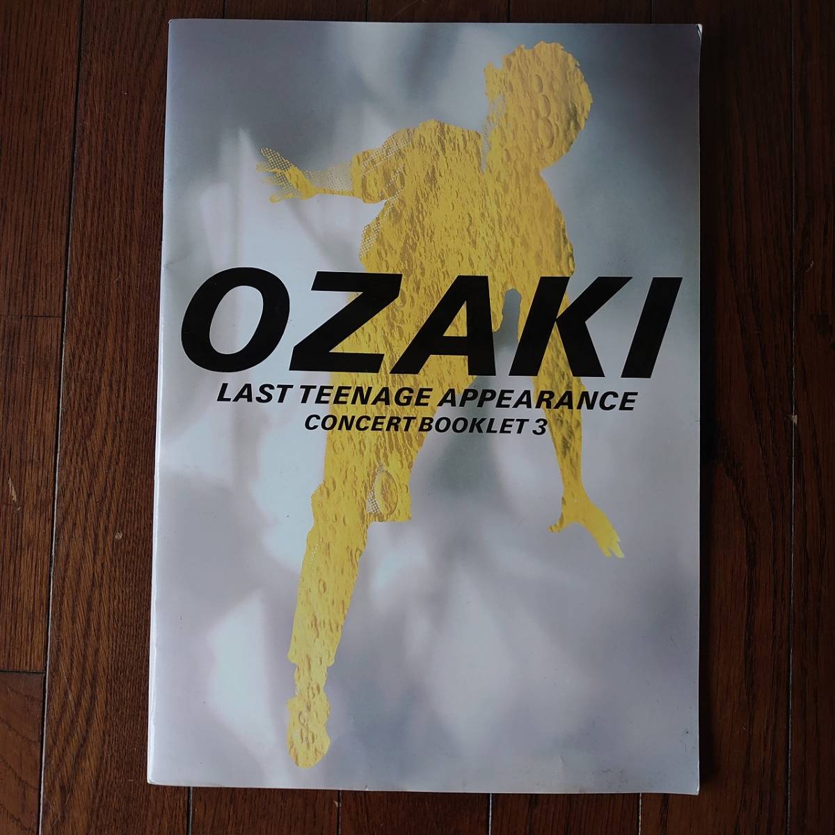 Брошюра Ютака Озаки Озаки Последний подростковый концертный буклет Apperance 3 365 x 258㎜