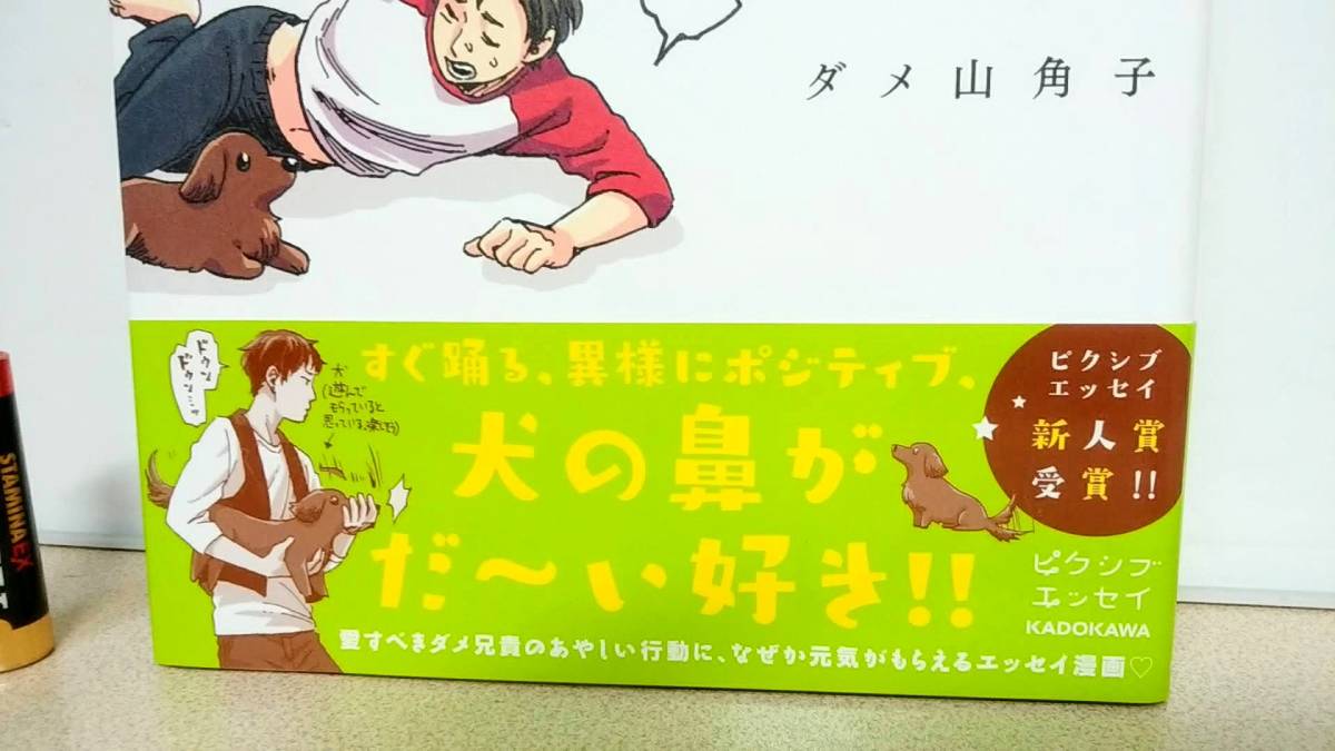 专业雅虎代拍 雅虎拍卖 日本代拍 日拍 日购 Yahoo代拍 转运 代收包裹 日本购物网 Www Gouwujp Com