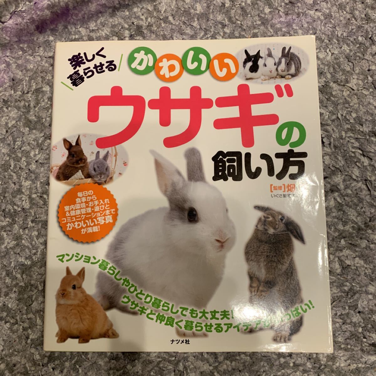 Paypayフリマ 楽しく暮らせるかわいいウサギの飼い方 Paypayフリマ 楽しく暮らせるかわいいウサギの飼い方