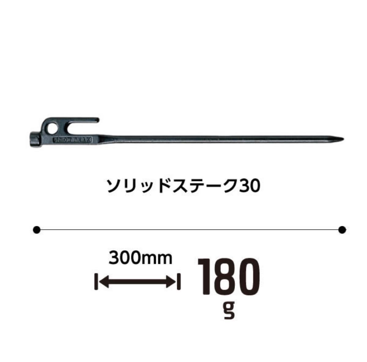 スノーピーク ペグ 30cm 3本セット ソリッドステーク30 R-103