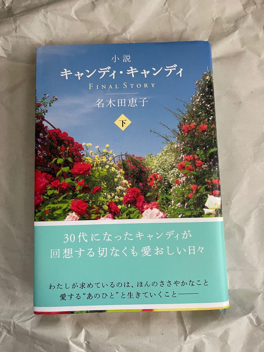 初版　小説 キャンディ・キャンディ Final STORY 名木田恵子　上下セット 水木杏子