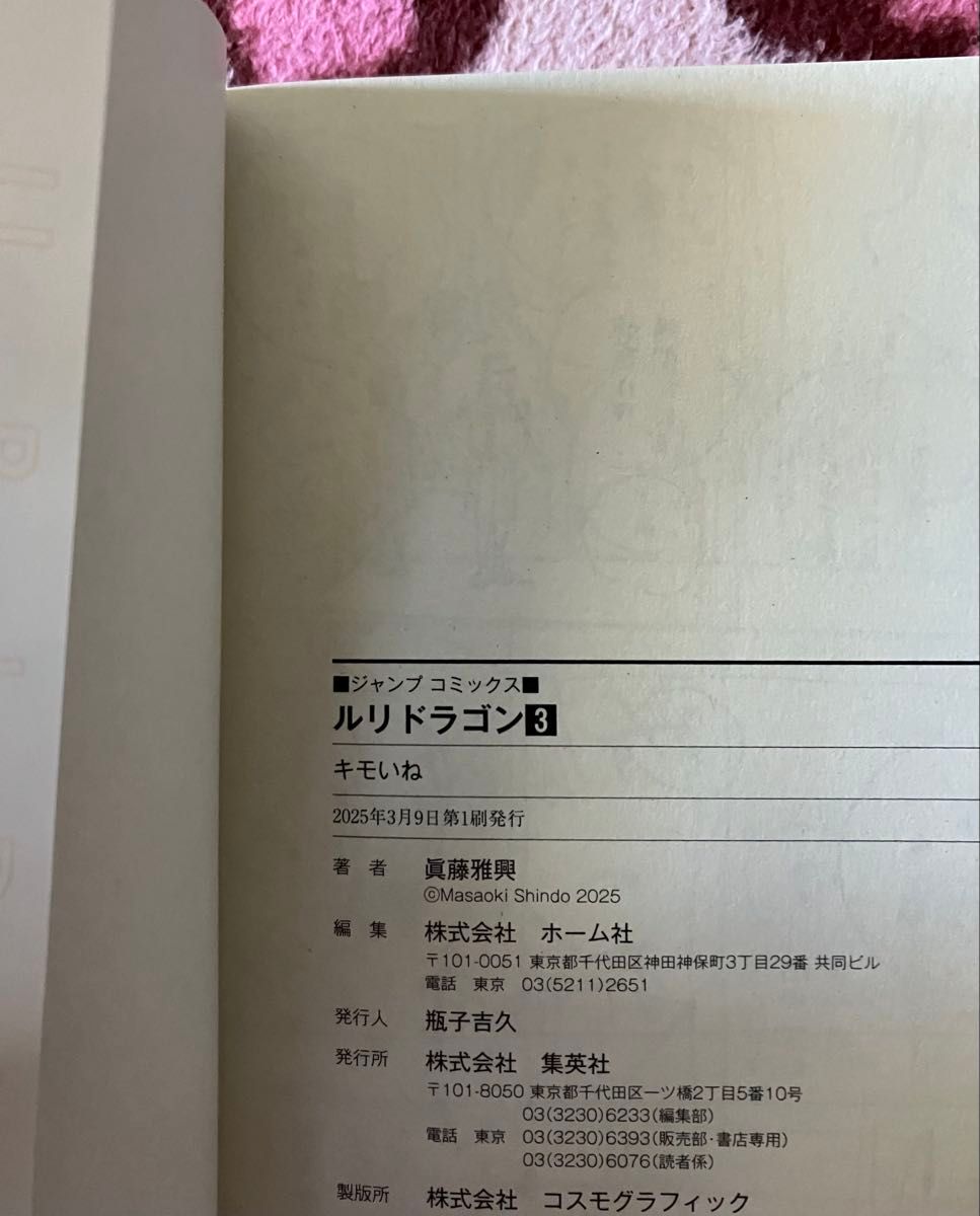 ルリドラゴン 2巻 3巻 初版本セット眞藤雅興 ジャンプコミックス 2冊