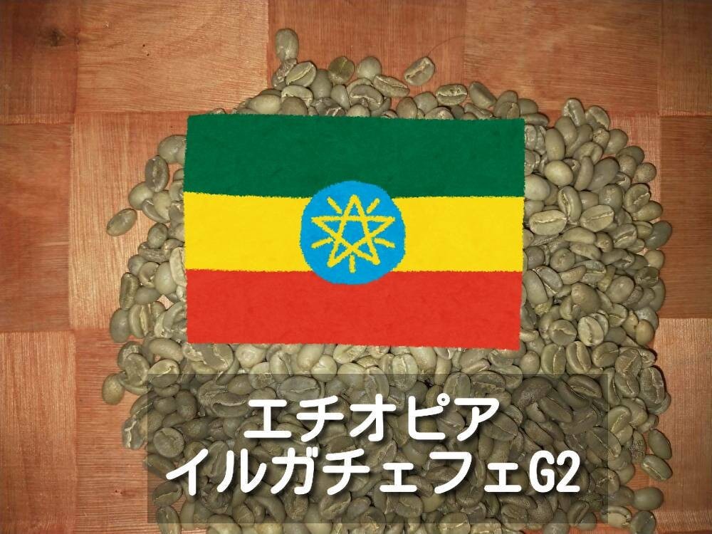 エチオピアイルガチェフェG2　コーヒー生豆　800g