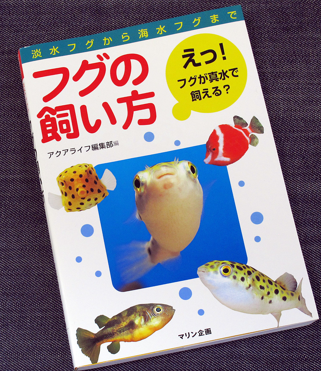 ヤフオク フグの飼い方 図鑑 飼育ガイド 淡水フグ 汽水フ