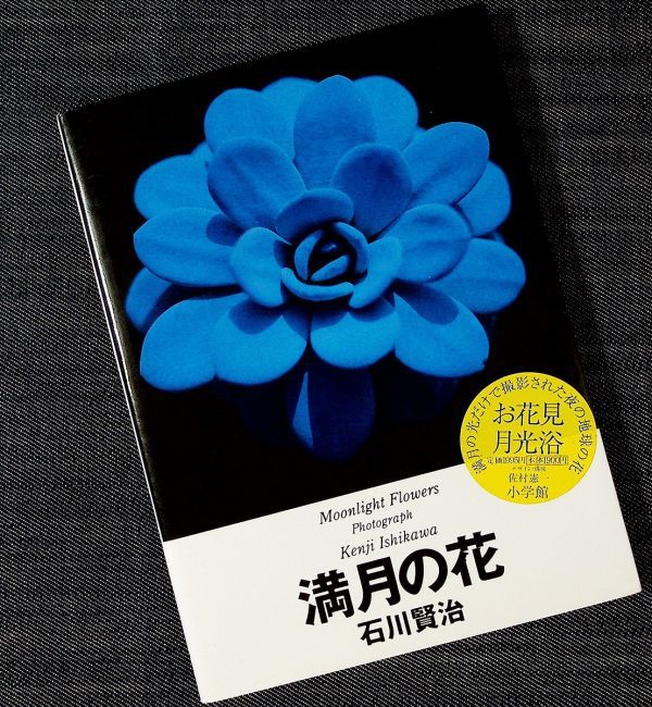 ヤフオク 月下の花 写真集 満月の花 石川賢治 夜に花 ヤフオク 月下の花 写真集 満月の花 石川賢治 夜に花