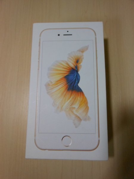 ●　iPhone６Ｓ　ケースのみ　 ●　箱　ステッカー　ピン　■ 　16GB 　ゴールド_画像1