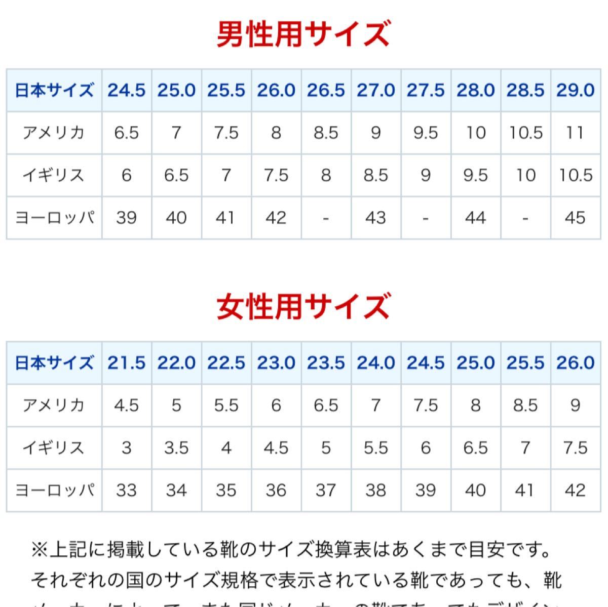 アンドリューハリディ 触覚 個人 靴 サイズ 42 とは 悪用 聴衆 免除する