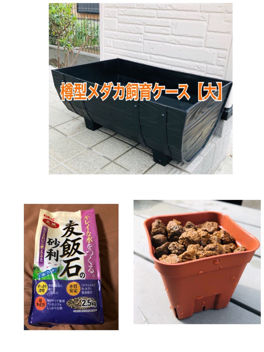 Paypayフリマ 樽型メダカ飼育ケース 大 麦飯石セット
