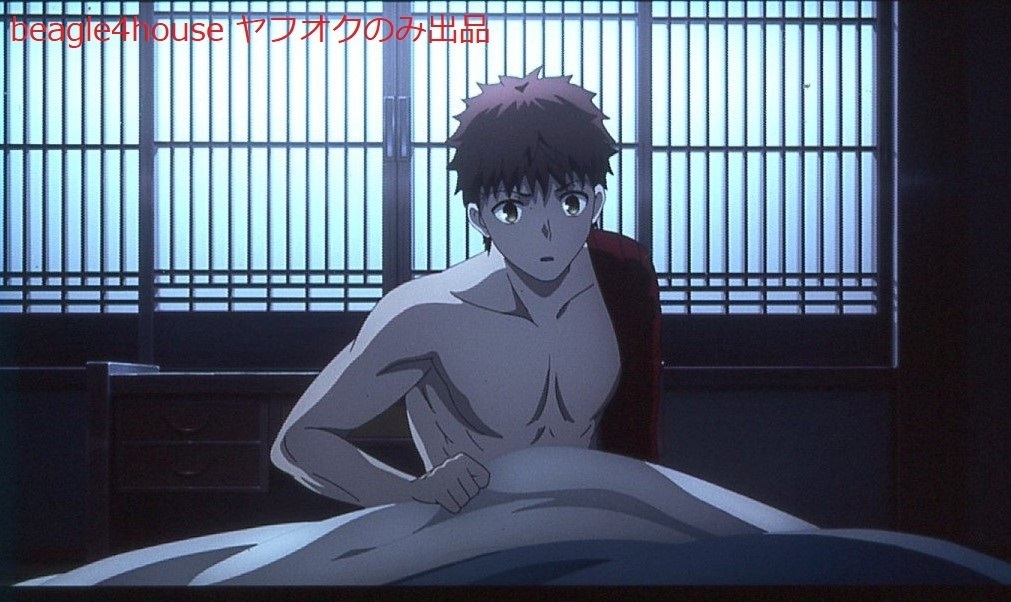 劇場版 Fate/stay night Heaven's Feel Ⅱ.lost butterfly 5週目 劇場版 Fate/stay night Heaven's Feel Ⅱ.lost butterfly 5週目