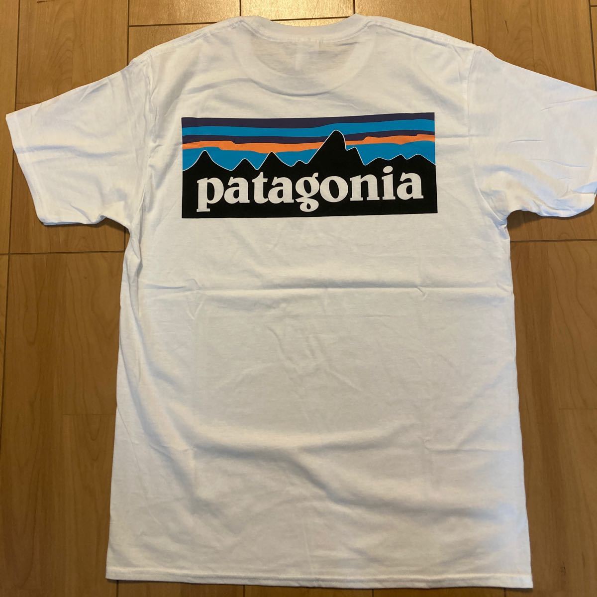 新品　未使用　タグなし　patagonia パタゴニア Tシャツ パタゴニアTシャツ　M Mサイズ