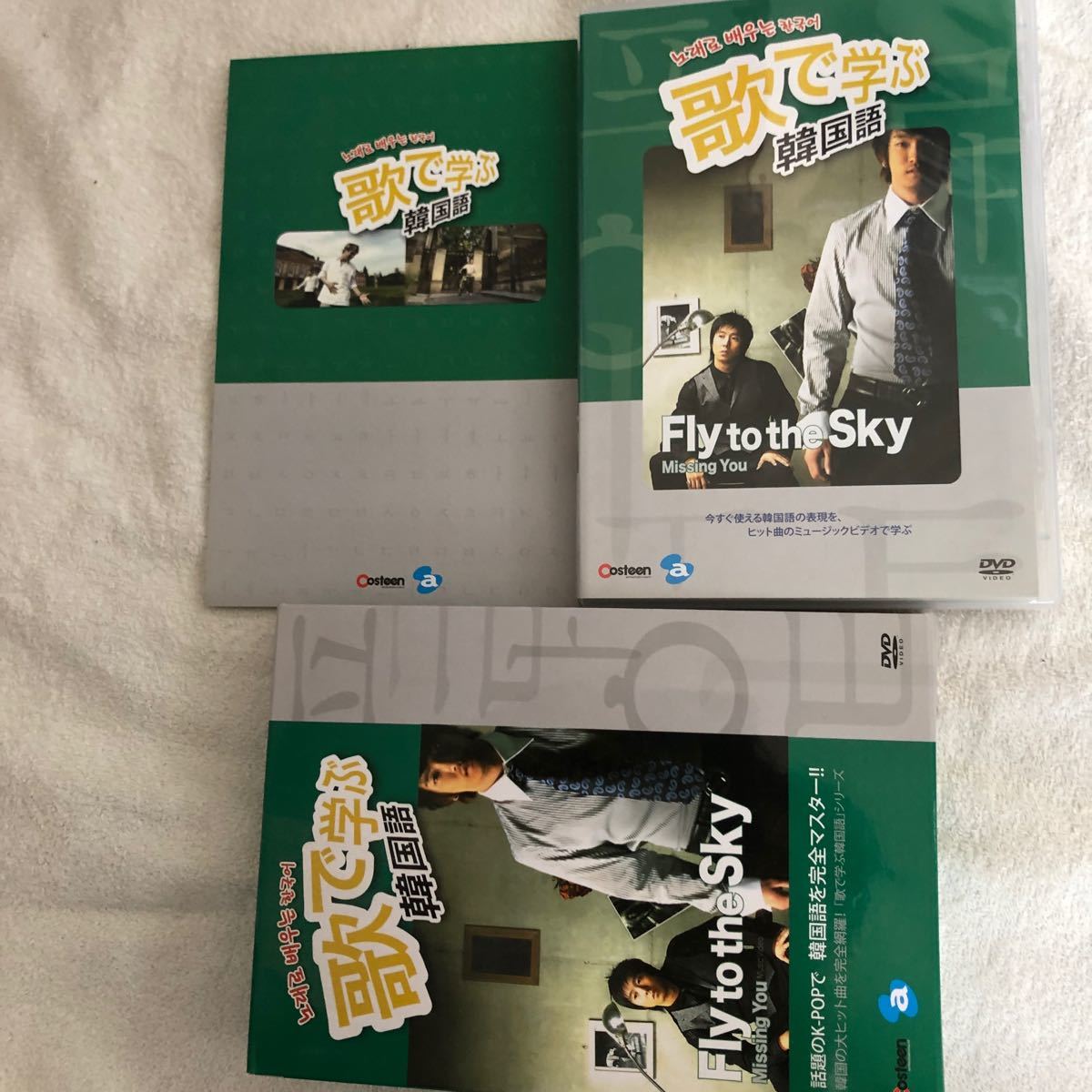 韓国語学習　テキスト付き　歌で学ぶ　韓国語　Fly to the sky DVD コレクターズアイテム k-pop