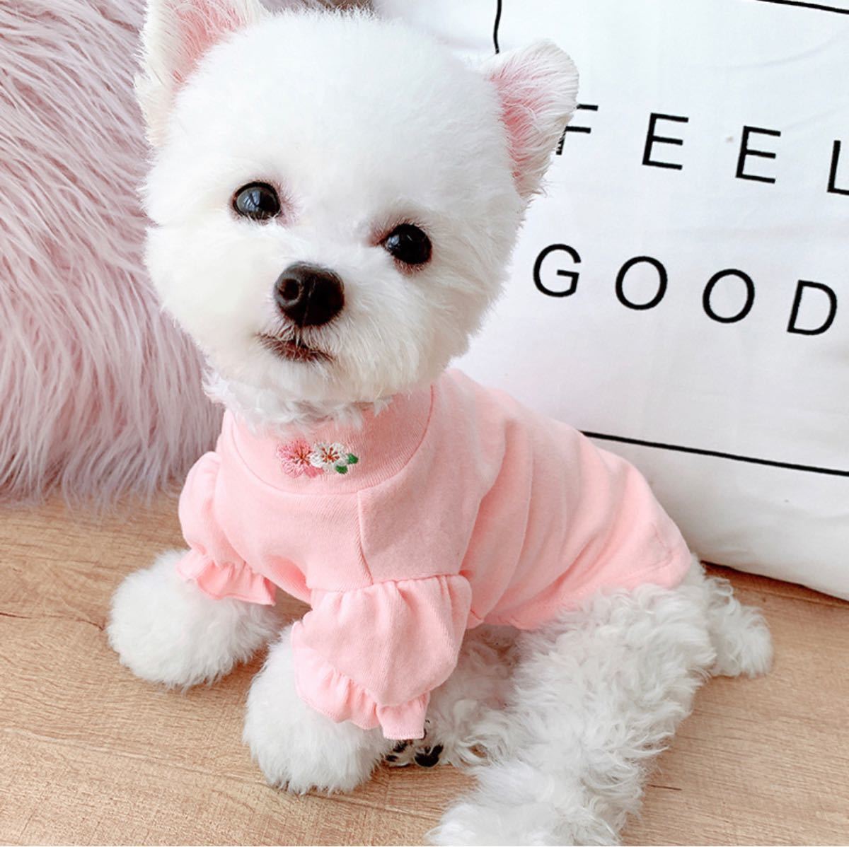 Paypayフリマ ペット服 可愛い ペット 犬 猫 Paypayフリマ ペット服 可愛い ペット 犬 猫