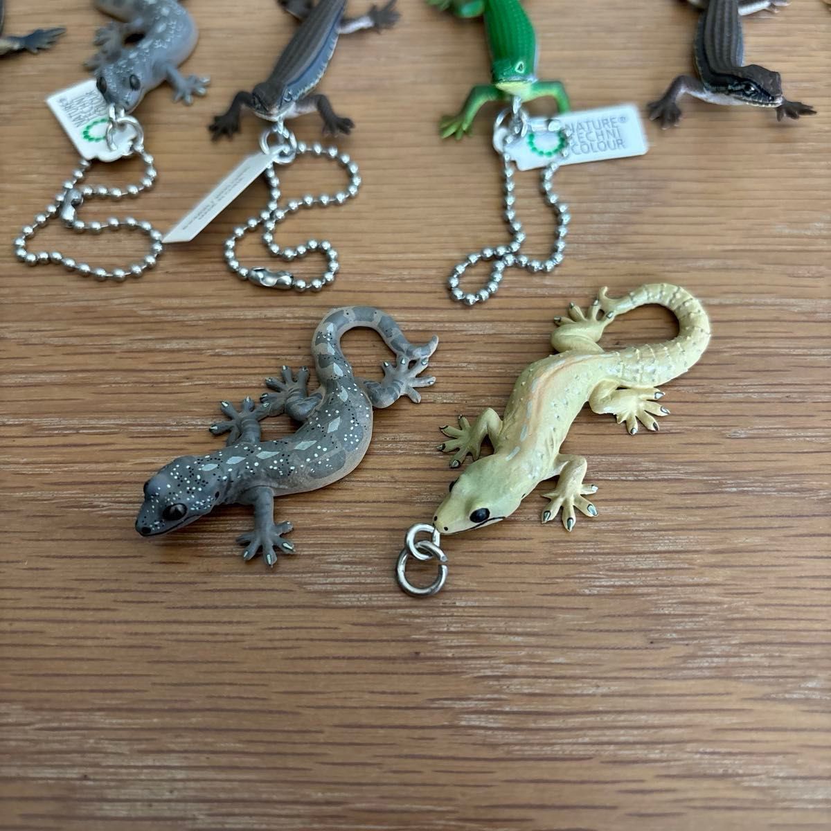 ネイチャーテクニカラー トカゲとヤモリ マグネット ボールチェーン