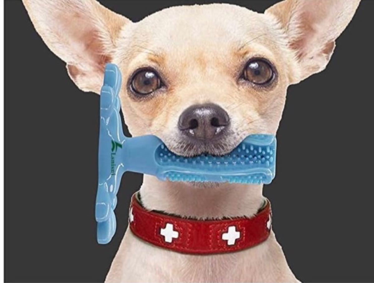2個　犬歯ブラシ 犬用歯ブラシ ペット用歯ブラシ 人気 お勧め 犬用歯磨きおもちゃ