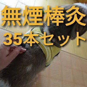 Paypayフリマ 無煙棒灸 35本セット お灸 犬 猫 介護 鍼灸 東洋医学 中医学 免疫 Paypayフリマ 無煙棒灸 35本セット お灸 犬 猫 介護 鍼灸 東洋医学 中医学 免疫