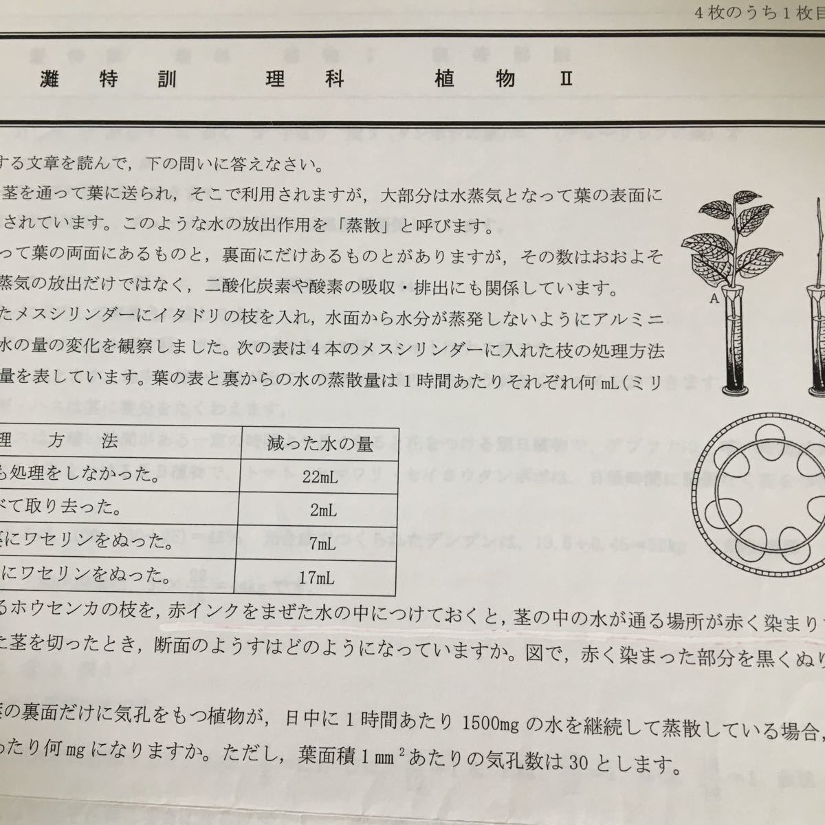 馬渕教室5年 灘特訓理科テキスト（1年間）4年総復習付き！