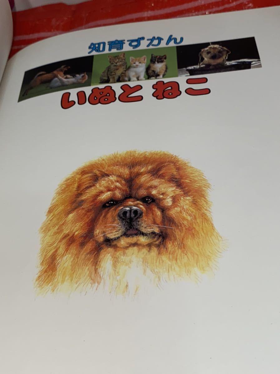 ☆学研 知育ずかん いぬと ねこ 昭和 図鑑 犬と猫 Educational picture book Dogs and cats