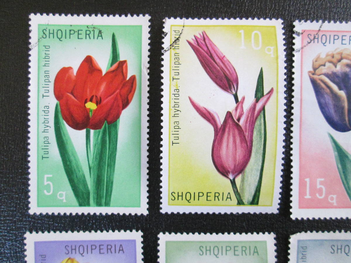 アルバニア切手　1971年　チューリップの花シリーズ　　　5～20ｑ　異種交配によるいろいろな花　8種完　使用済み_画像2