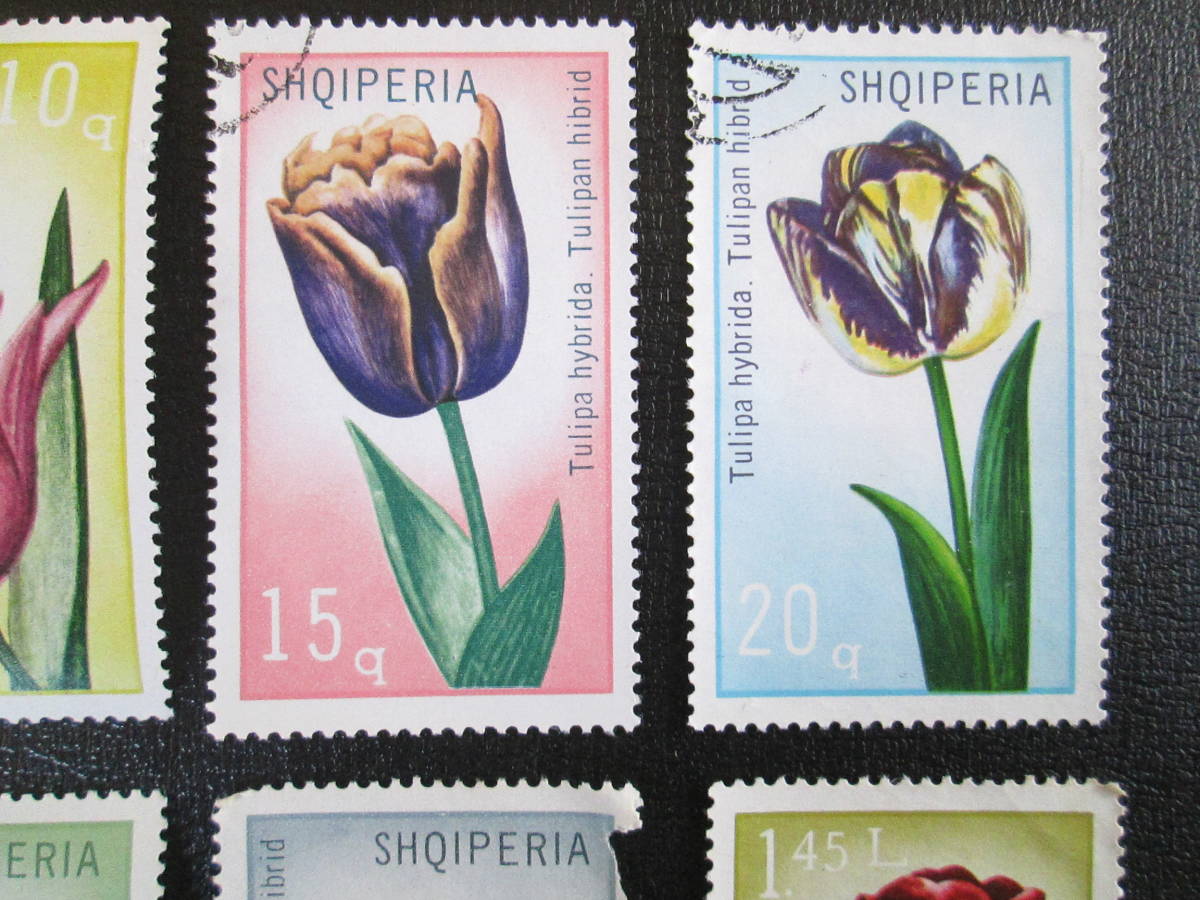アルバニア切手　1971年　チューリップの花シリーズ　　　5～20ｑ　異種交配によるいろいろな花　8種完　使用済み_画像3