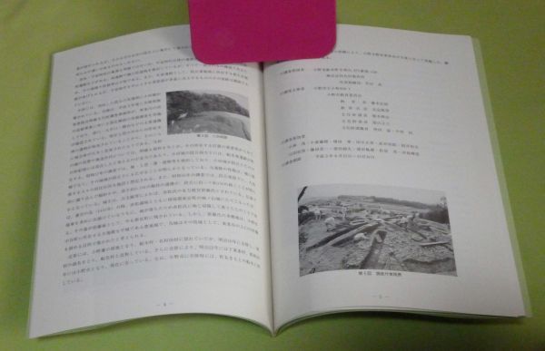 船木南山古墳発掘調査概要書 　小野市教育委員会　/　船木南山古墳　兵庫県　小野　古墳_画像2