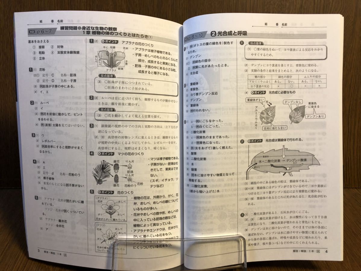 19年度版 大日本図書準拠 新学社 理科の自主学習 中学 1年 ノート付き 入試対策 ワーク 問題集 教科書準拠 売買されたオークション情報 Yahooの商品情報をアーカイブ公開 オークファン Aucfan Com