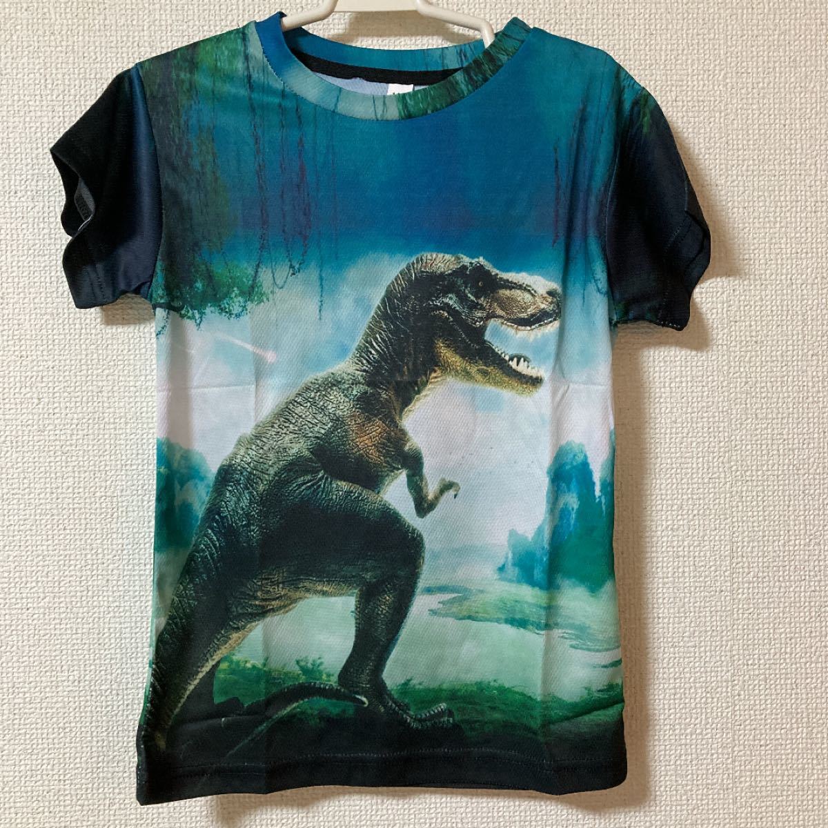 Paypayフリマ 新品 恐竜 半袖tシャツ 1センチ Ii Paypayフリマ 新品 恐竜 半袖tシャツ 1センチ Ii