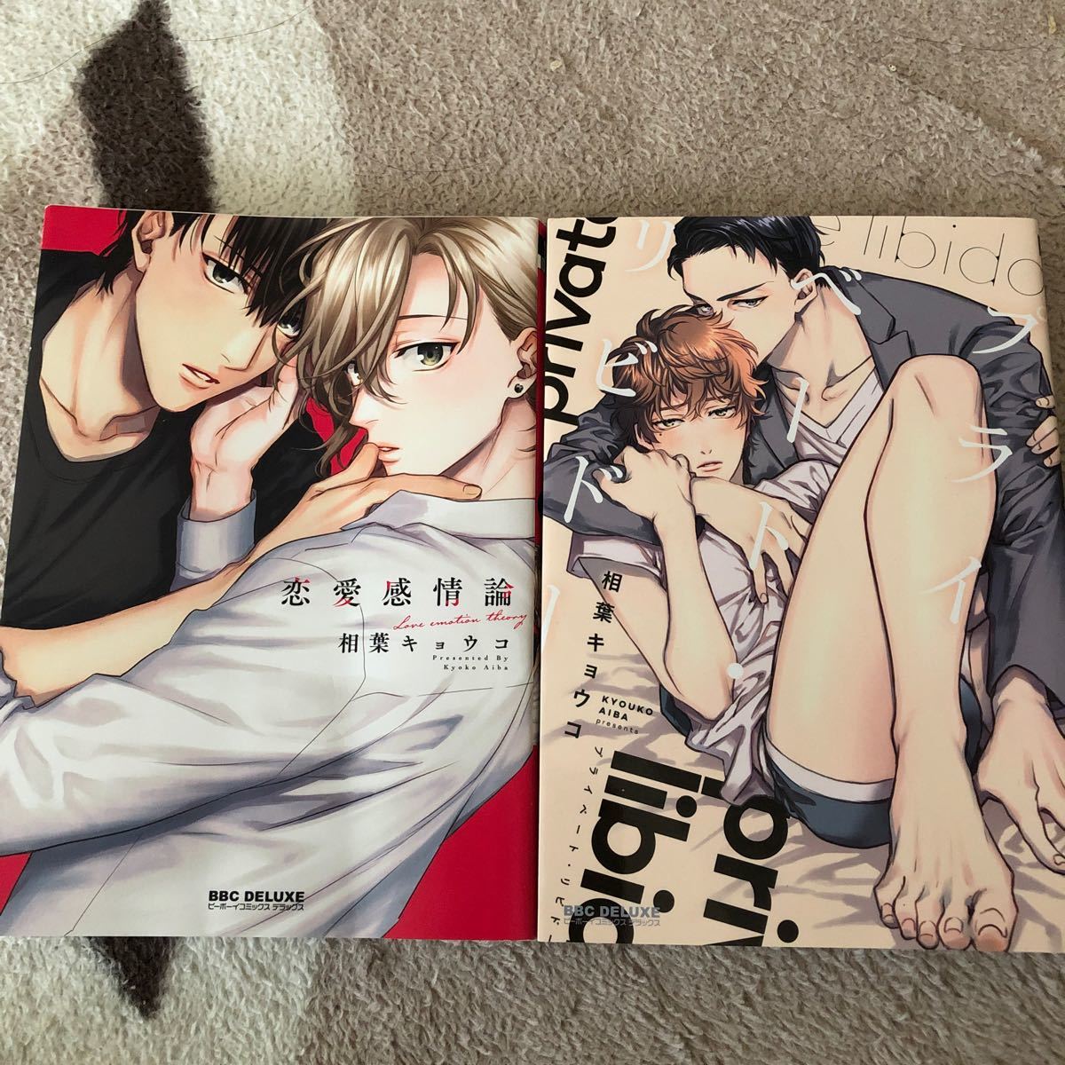 Paypayフリマ 相葉キョウコ 2冊 Paypayフリマ 相葉キョウコ 2冊