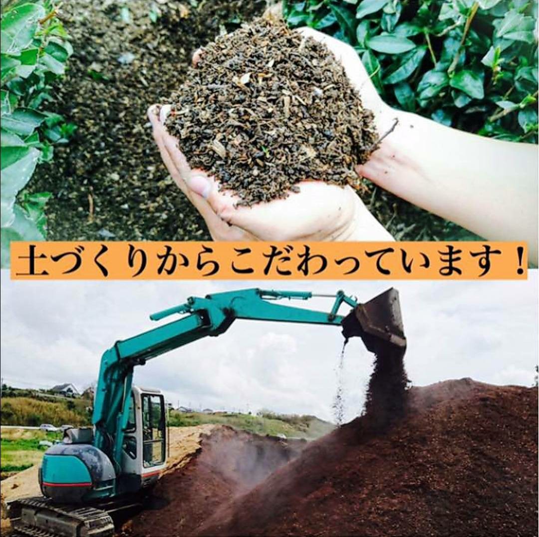 新茶できました！　特上煎茶(静岡産深蒸し茶)　上質な一番茶の新芽部分のみを採取