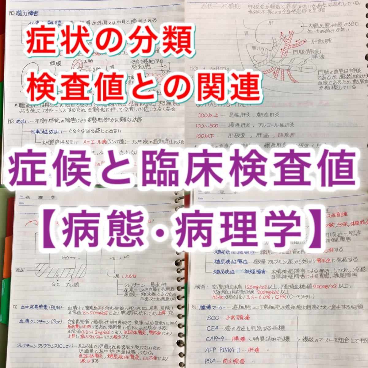 看護師、准看護師国家試験、看護学科定期試験対策【病理学】まとめノート