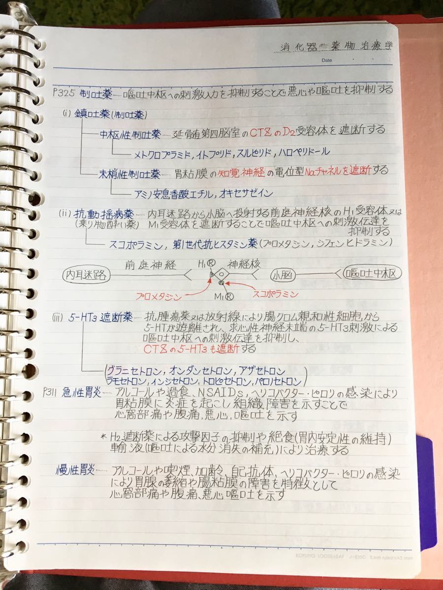 看護師、准看護師国家試験、定期試験対策シリーズ【薬物治療学】まとめノート