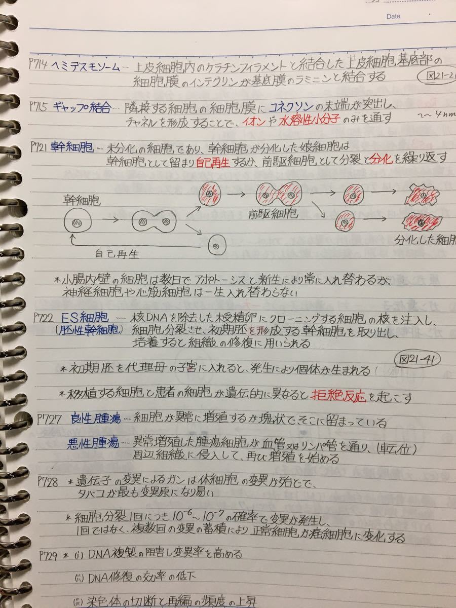 看護師、准看護師国家試験、定期試験対策シリーズ【基礎生物】まとめノート