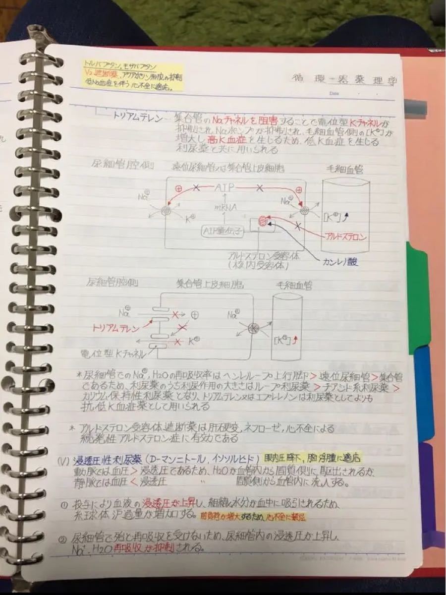 看護師、准看護師国家試験、学科定期試験対策シリーズ【循環器疾患】まとめノート