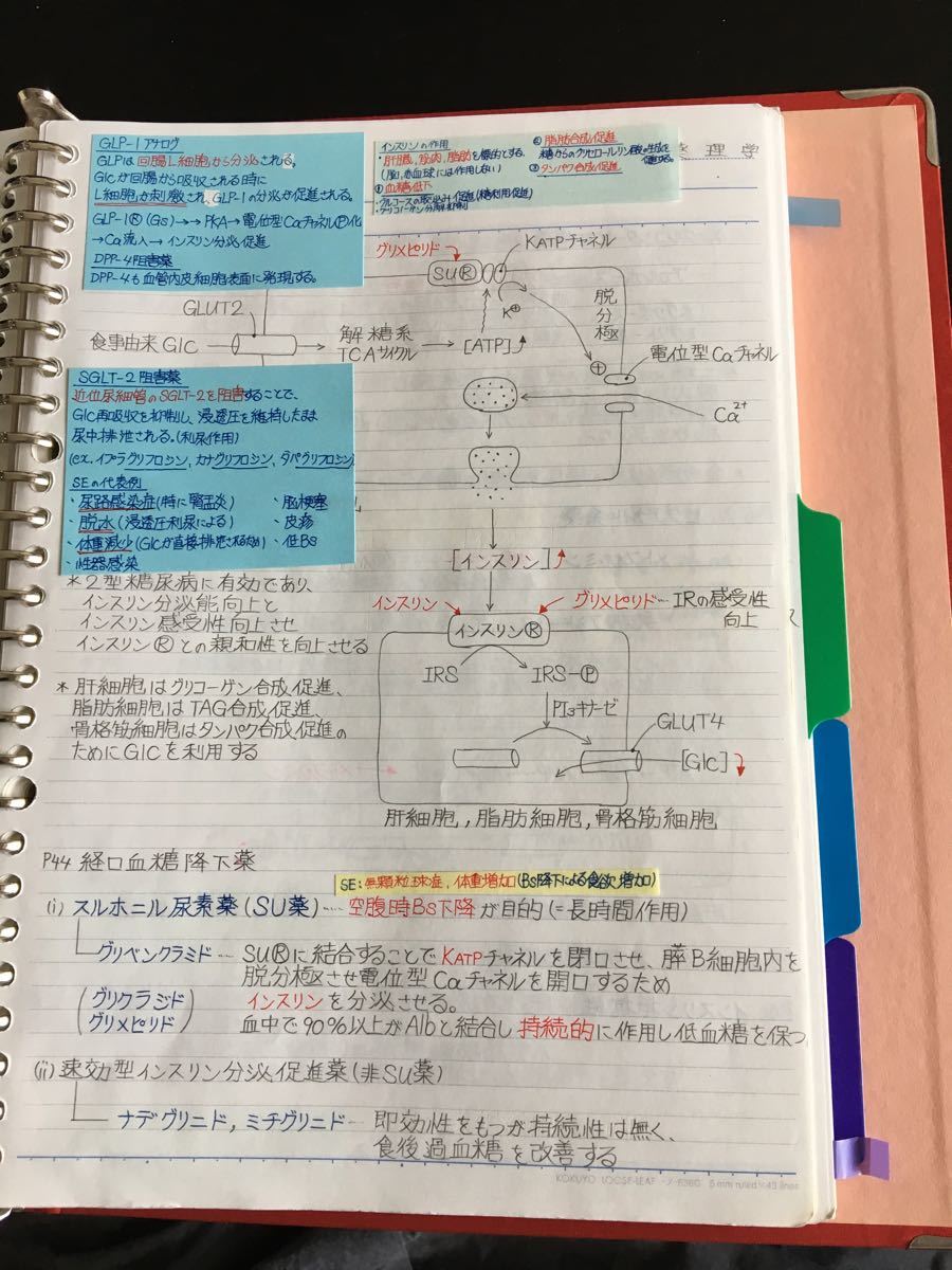 看護師、准看護師国家試験、学科定期試験対策シリーズ【循環器疾患】まとめノート