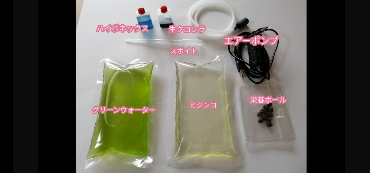 Paypayフリマ ミジンコ グリーンウォーター培養キット Paypayフリマ ミジンコ グリーンウォーター培養キット