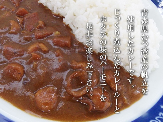  Tokachi Shimizu cow curry ×2 piece set { Hokkaido Tokachi Shimizu cow use }( middle .)medium spicy Tokachi Shimizu Beef Curry(. present ground curry )[ mail service correspondence ]