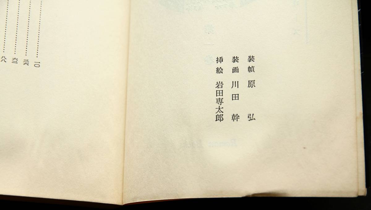 下端に水濡れ跡があります。