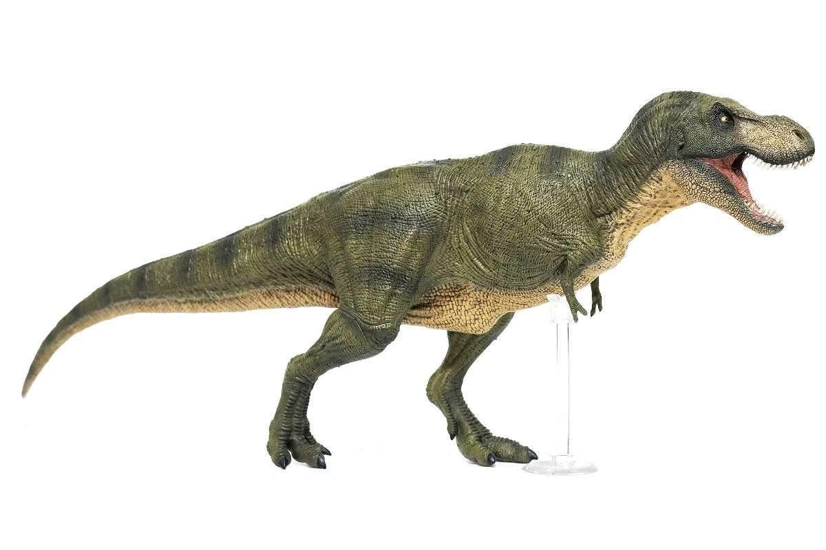 大きい恐竜フィギュアの値段と価格推移は 56件の売買情報を集計した大きい恐竜フィギュアの価格や価値の推移データを公開 大きい恐竜フィギュアの値段と価格推移は 56件の売買情報を集計した大きい恐竜フィギュアの価格や価値の推移データを公開