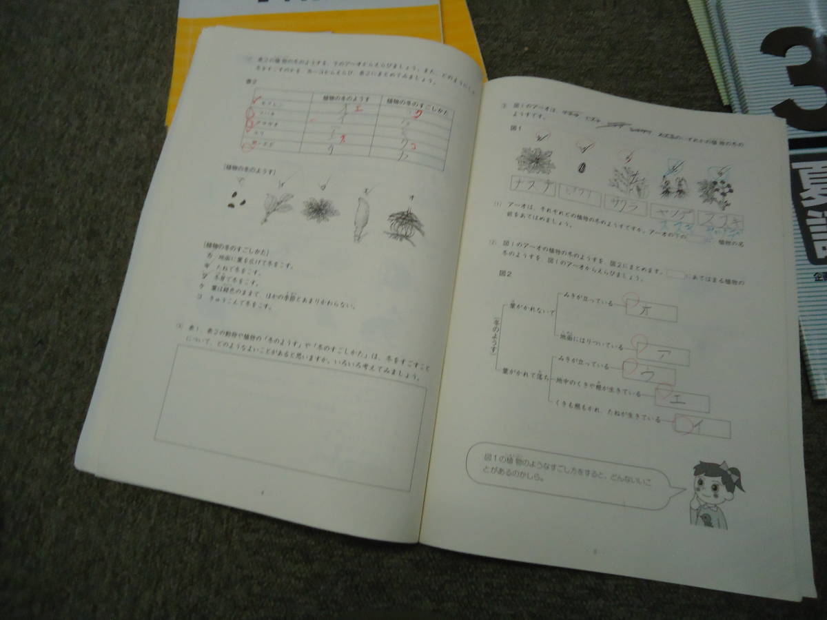 日能研　3年　小3　本科教室　ステージⅠ前期後期　国算　春期夏期冬期講習テキスト　2017年度版_画像9