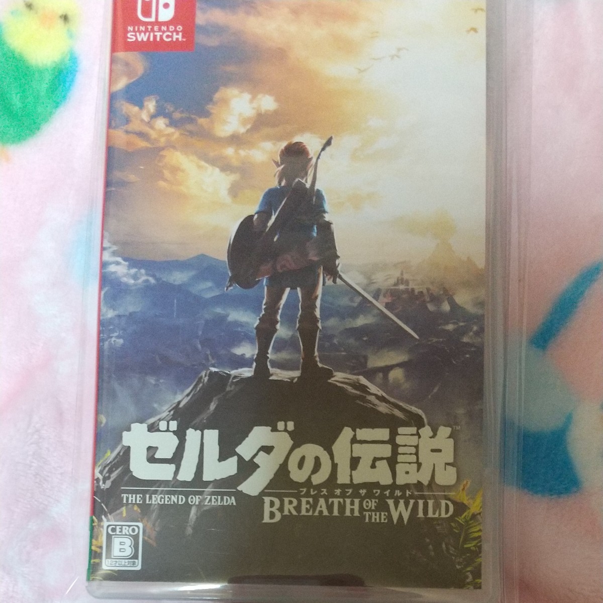 ゼルダの伝説 ブレス オブ ザ ワイルド/任天堂/ゼルダの伝説ブレスオブザワイルド/Nintendo Switch