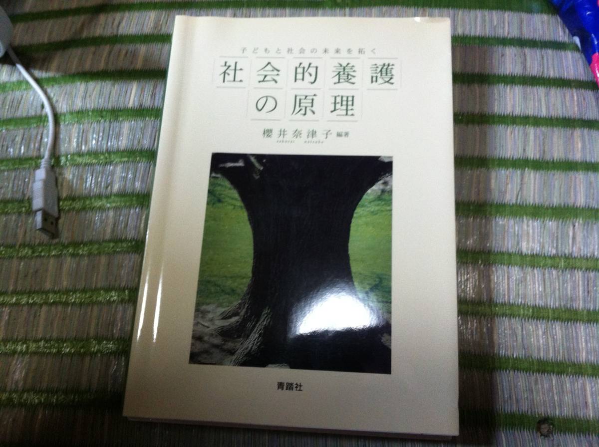 子どもと社会の未来を拓す 社会的養護の原理 櫻井奈津子