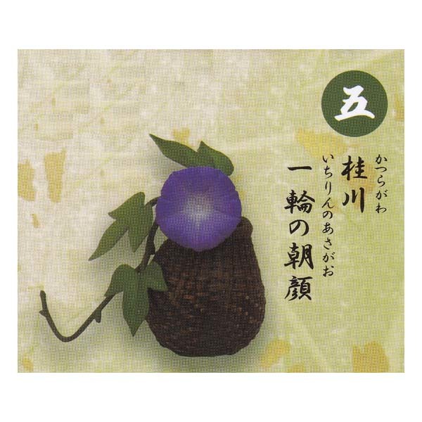 戦国の茶器 四 Japanese Historical Tea Utensil 4 利休の章 桂川 一輪の朝顔 戦国の茶器 四 Japanese Historical Tea Utensil 4 利休の章 桂川 一輪の朝顔