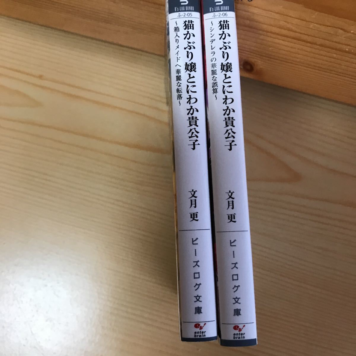 猫かぶり嬢とにわか貴公子　箱入りメイドへ華麗な転落　　文月更