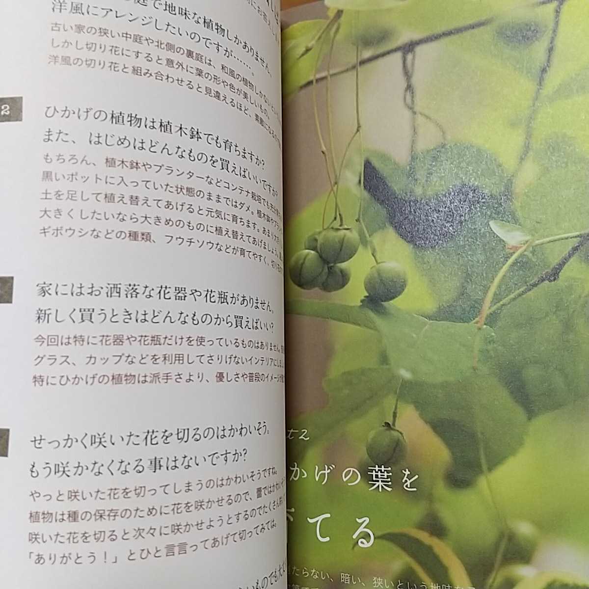 ひかげで育つ花・草・木 岡井路子 東京地図出版 中古 植物 ガーデニング ※ややヤケや傷み有 0100031