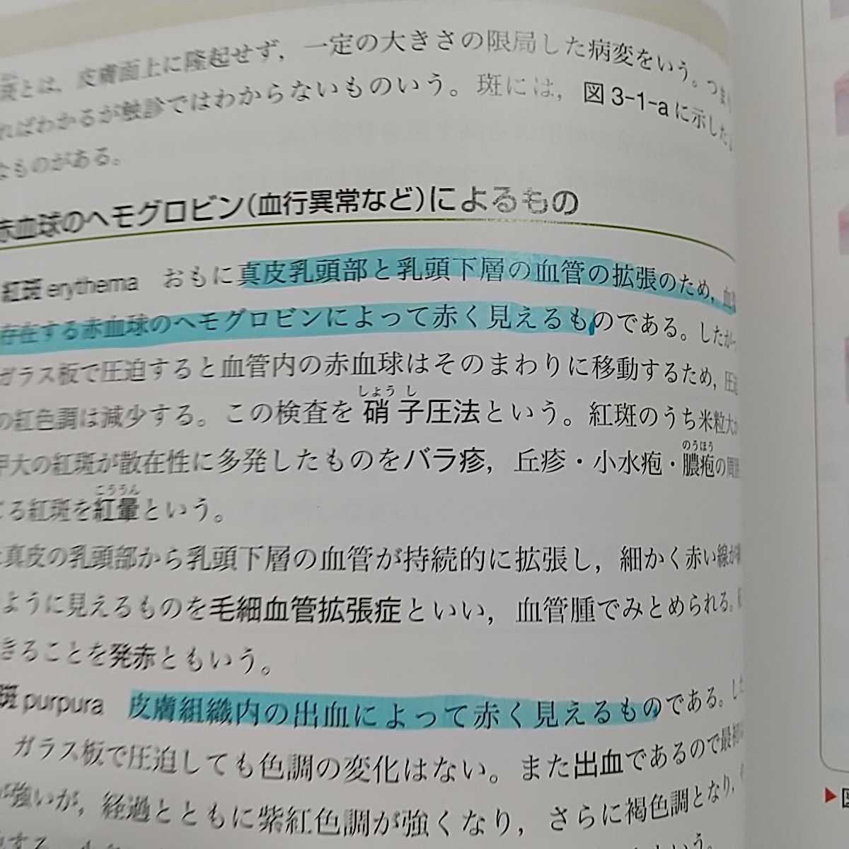 皮膚 系統看護学講座 専門分野Ⅱ 成人看護学12 医学書院 2019年第14版第4刷 ※マーカー跡有 中古 渡辺晋一