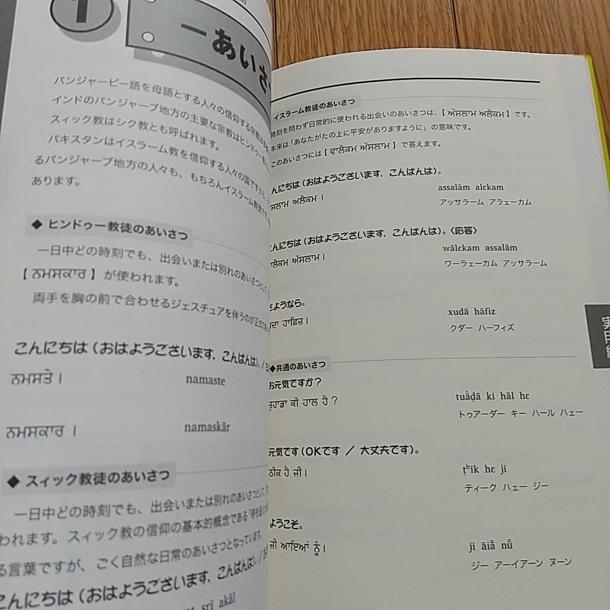 まずはこれだけ パンジャービー語 CDブック 岡口典雄 国際語学社 いちばん最初に始める参考書 0220025_画像9