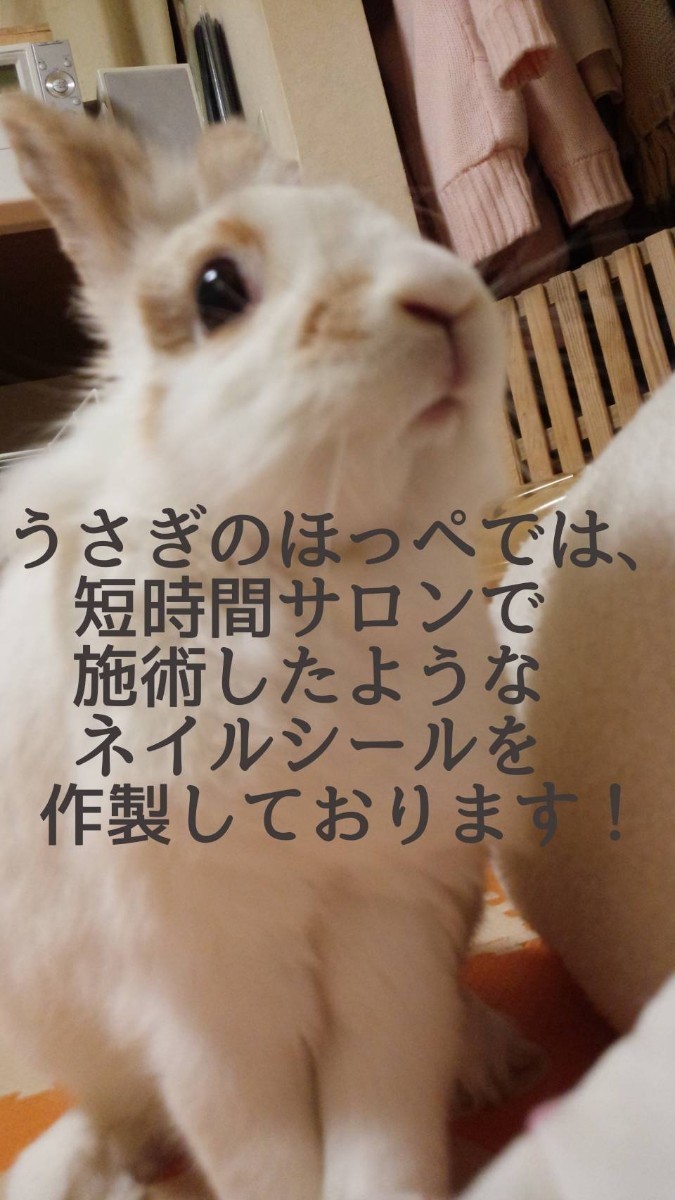 Paypayフリマ クラシックローズ ホワイト ジェルネイルシール うさぎのほっぺ Paypayフリマ クラシックローズ ホワイト ジェルネイルシール うさぎのほっぺ