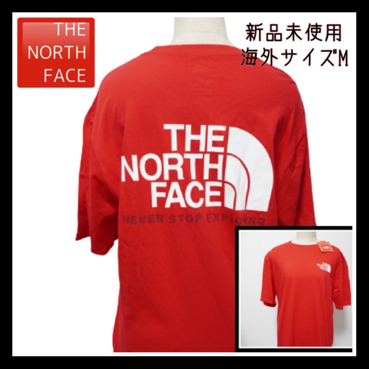 THE NORTH FACE Tee ノースフェイスTシャツ ロゴTシャツ ハーフドーム　ザノースフェイス