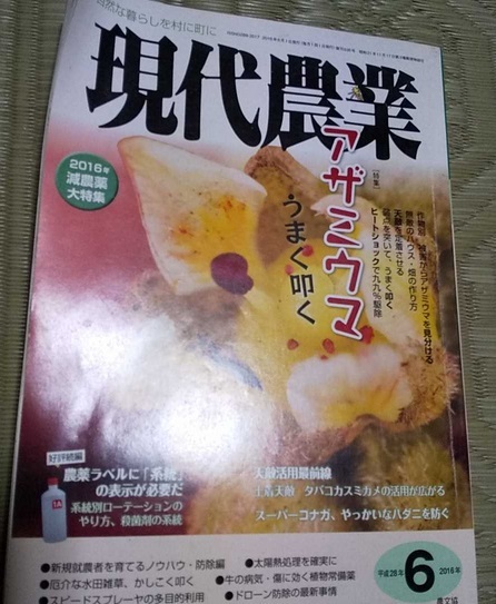 現代農業 中古品 2016年6月 アザミウマ 農薬の本 雑誌 家庭菜園 ガーデニング　農業 農文協 園芸　くらし　趣味花、園芸本　参考書_画像1