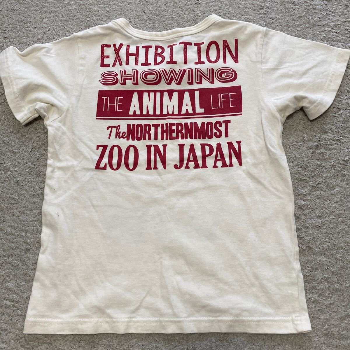 Paypayフリマ Breeze Tシャツ ペンギン Size140 Paypayフリマ Breeze Tシャツ ペンギン Size140